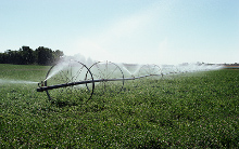 Wheel Line Irrigation